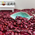 2014 Crop Dard Red Kidney Beans Prix du marché